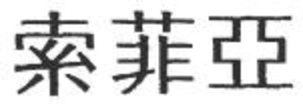 中国整木网
