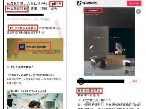 印尼RPI